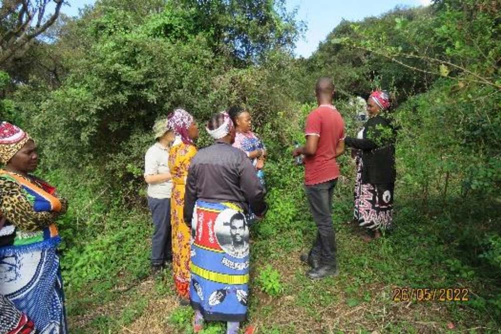 Embracing the Global Biodiversity Framework