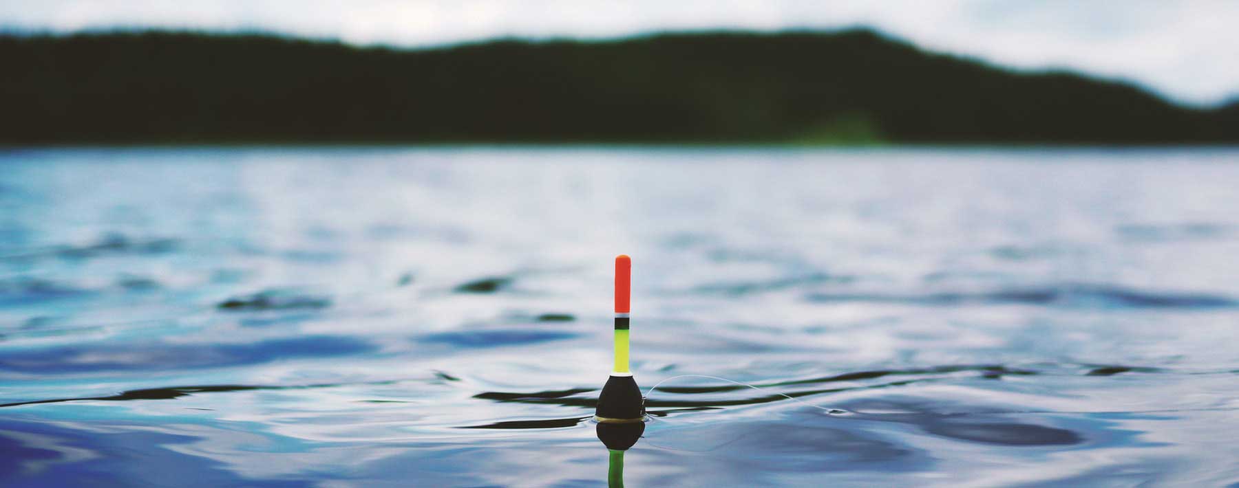 Paddock Fishing Competition (2022)